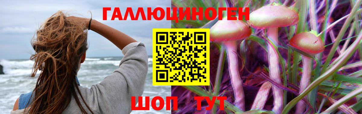 как найти закладки  Вход с VPN  Гуково  Псилоцибиновые грибы Magic Shrooms 
